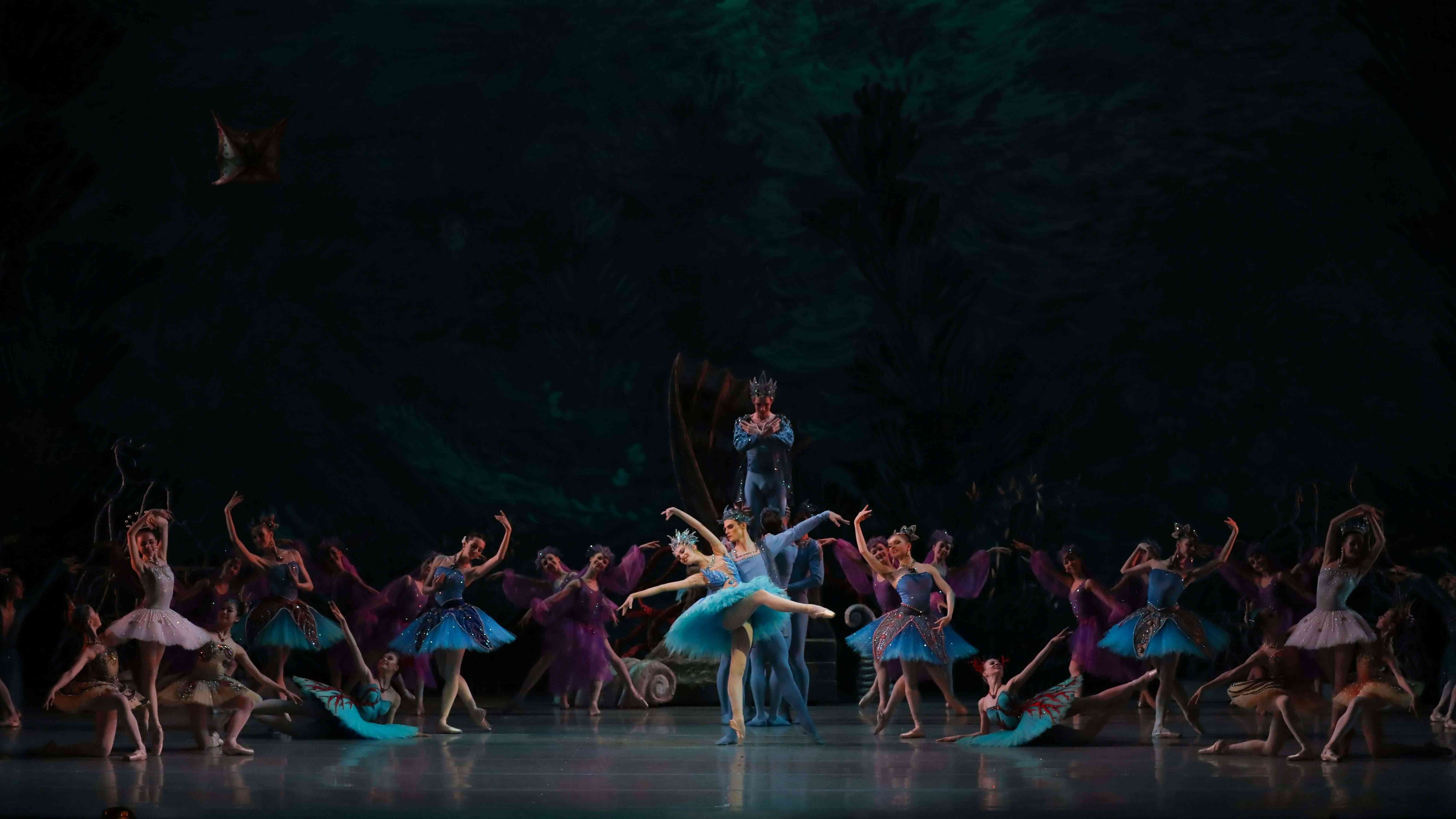 Acad&eacute;mie de ballet russe  A. I. Vaganova. Examen d&rsquo;&Eacute;tat de &laquo; Danse classique &raquo;